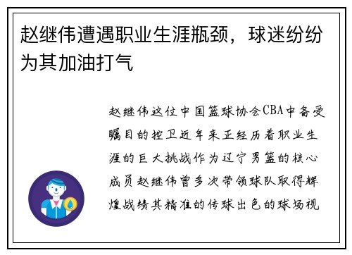 赵继伟遭遇职业生涯瓶颈，球迷纷纷为其加油打气
